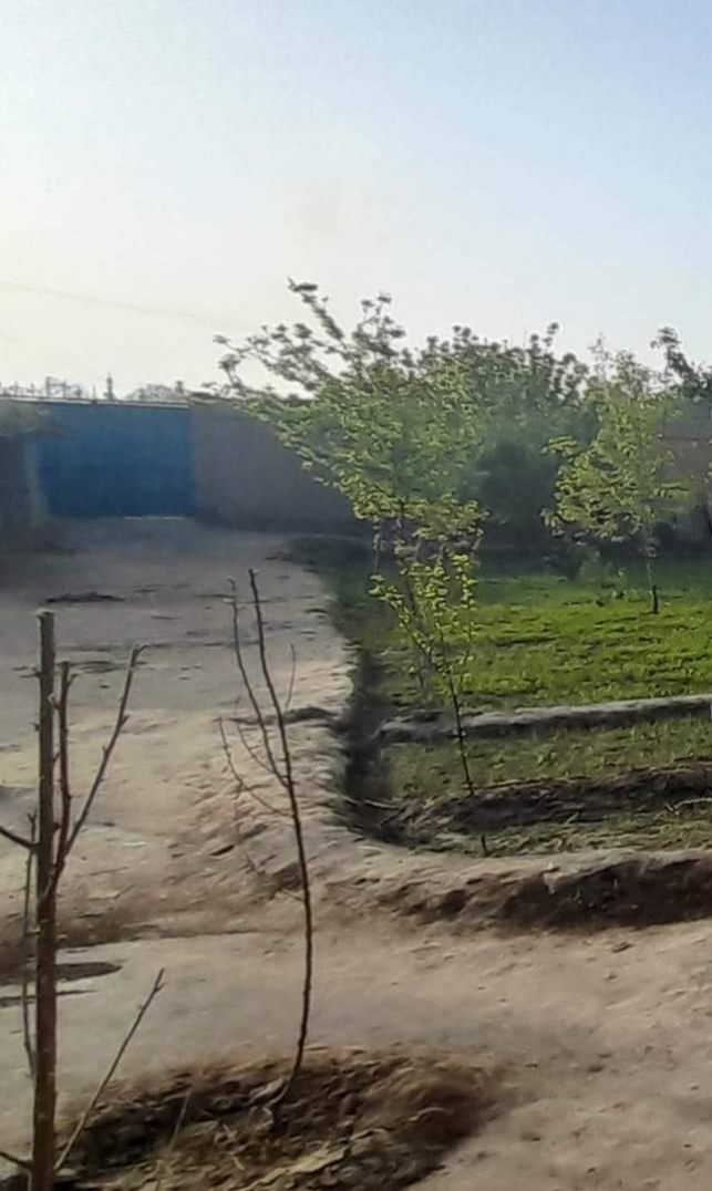 تصویر نمایش داده نشد